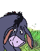 burro-asno-mula-007.gif