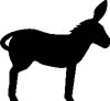 burro-asno-mula-011.jpg