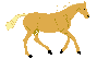 caballo-031.gif