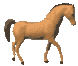 caballo-042.gif
