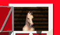 caballo-045.gif