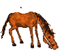 caballo-049.gif