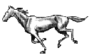 caballo-052.gif