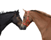 caballo-055.gif
