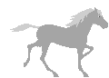 caballo-059.gif
