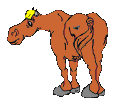 caballo-066.gif