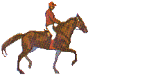 caballo-068.gif