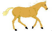caballo-070.gif