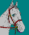 caballo-073.gif
