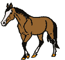 caballo-076.gif