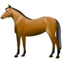 caballo-079.png