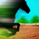 caballo-081.jpg