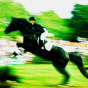 caballo-086.jpg