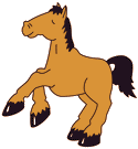 caballo-090.gif