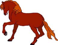 caballo-092.jpg