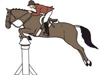 caballo-093.jpg
