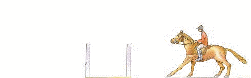 caballo-094.gif