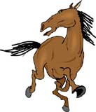 caballo-095.jpg