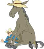 caballo-096.jpg