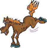 caballo-097.jpg