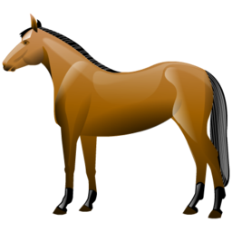 caballo-098.png