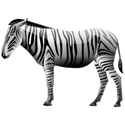 cebra-010.png