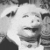 cerdo-019.gif