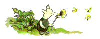 cerdo-023.gif