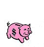 cerdo-038.gif