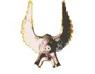 cerdo-041.gif