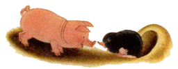 cerdo-051.gif