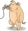 cerdo-054.gif