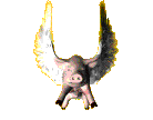 cerdo-056.gif