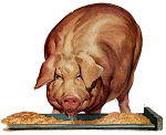 cerdo-067.gif