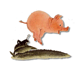 cerdo-069.gif