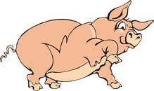 cerdo-075.jpg