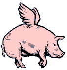 cerdo-077.gif