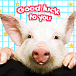 cerdo-083.gif