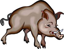 cerdo-093.jpg