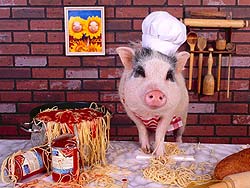 cerdo-102.jpg