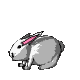 conejo-040.gif