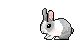 conejo-042.gif