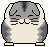 conejo-046.gif