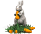 conejo-061.gif