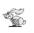 conejo-062.gif