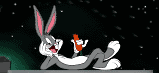 conejo-063.gif