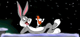 conejo-064.gif