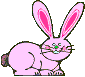 conejo-067.gif