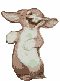 conejo-077.gif