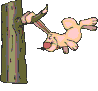 conejo-084.gif